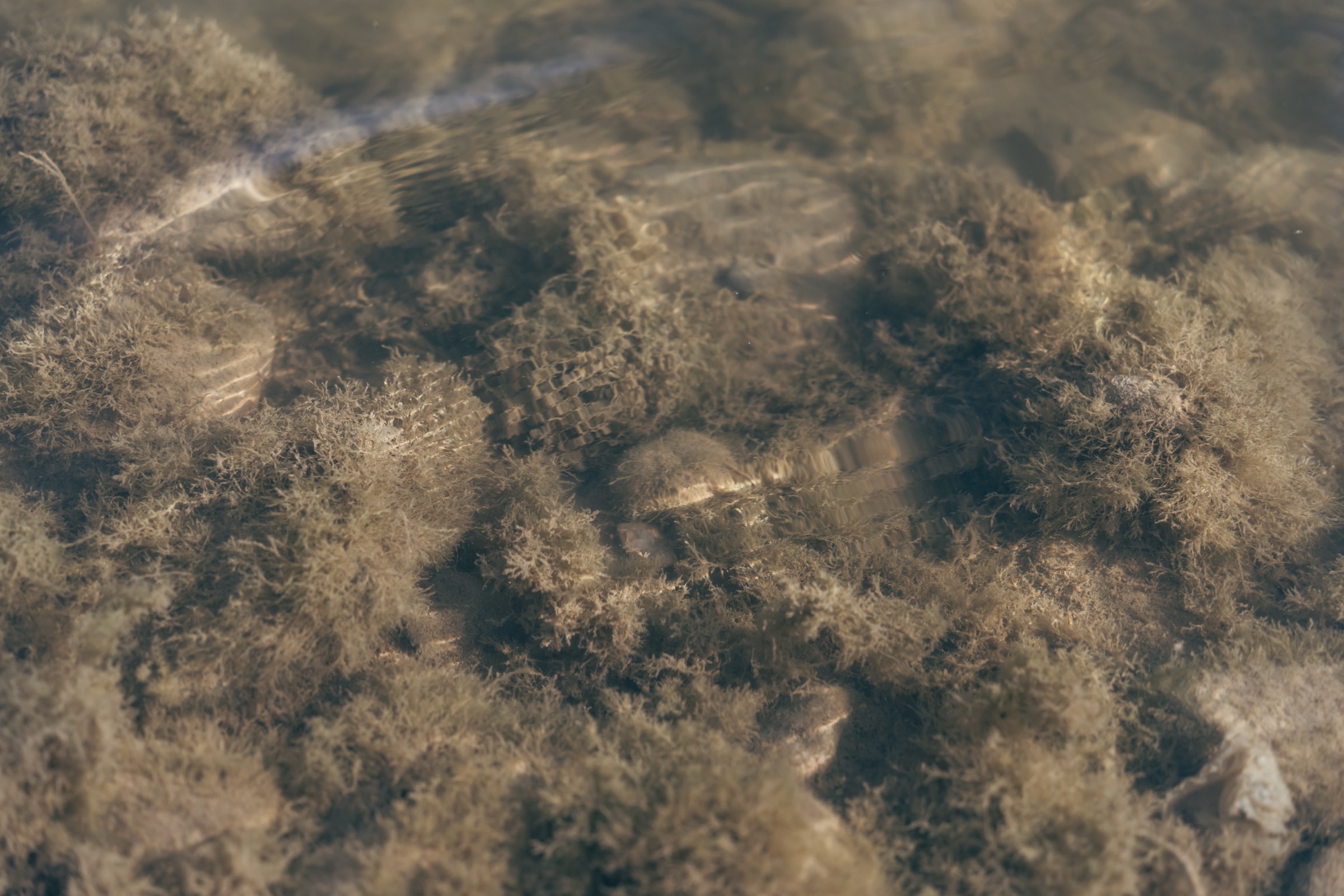 Between the Water and Us